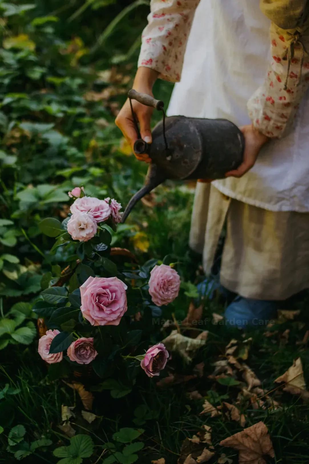 How Regular Lawn Care Supports a Greener Yard