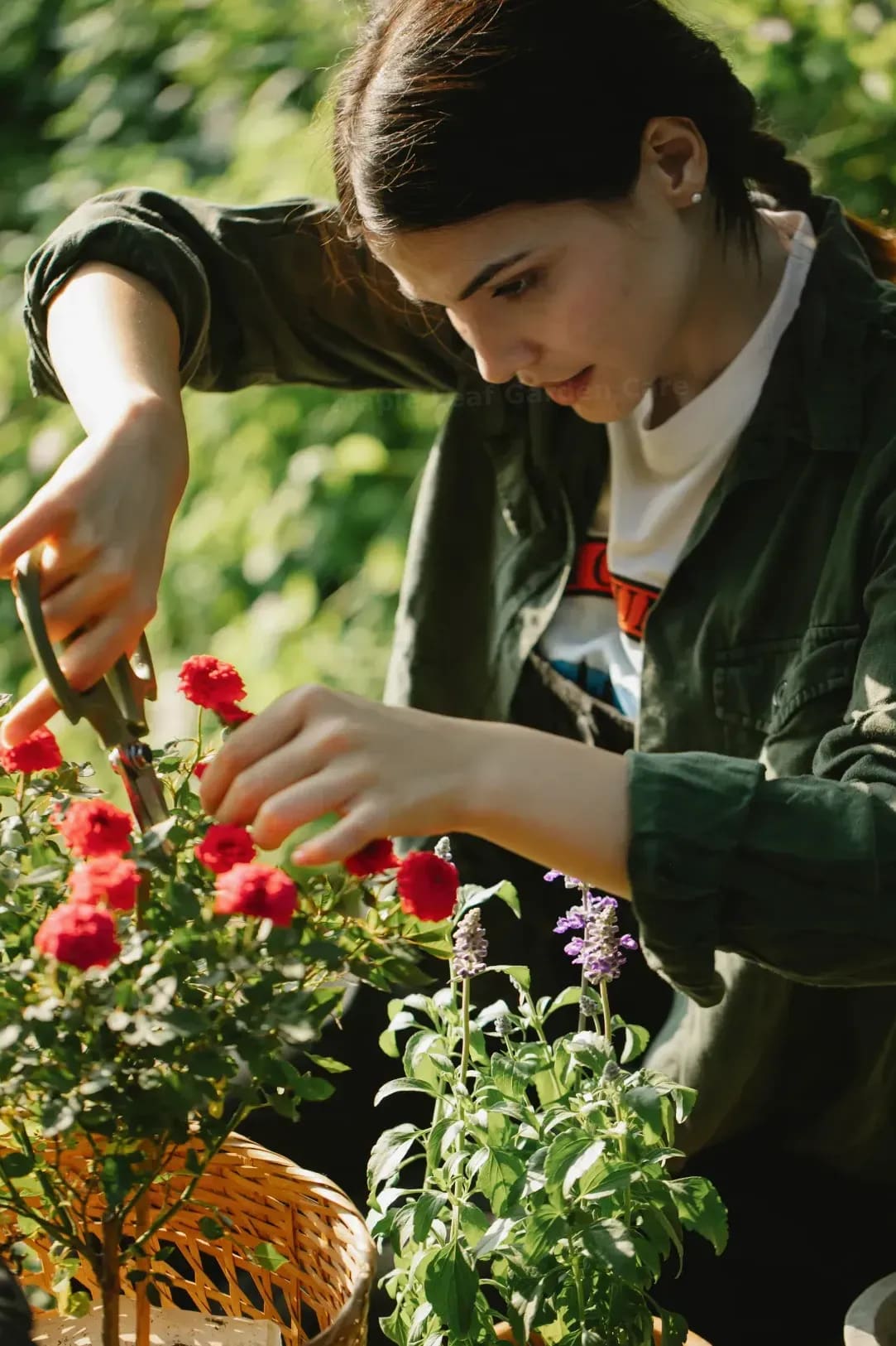 Seasonal Garden Refresh Workflow