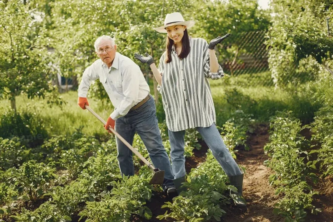 Weed control and bed care